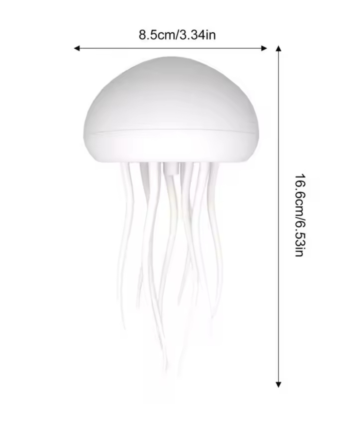 Jellyfish Lamp