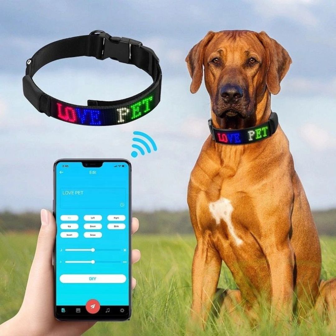 Led Display Dog Collar