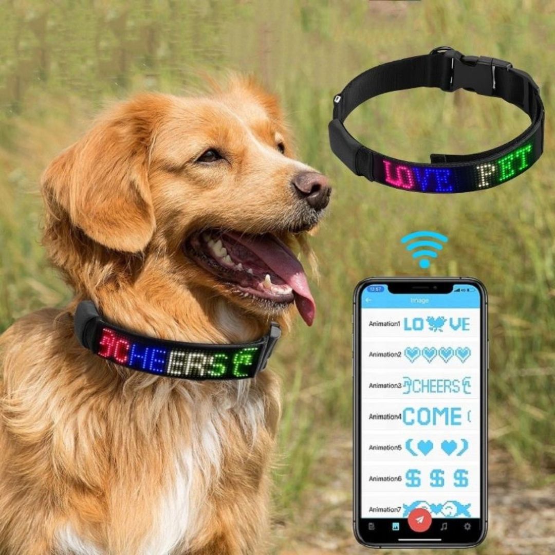 Led Display Dog Collar