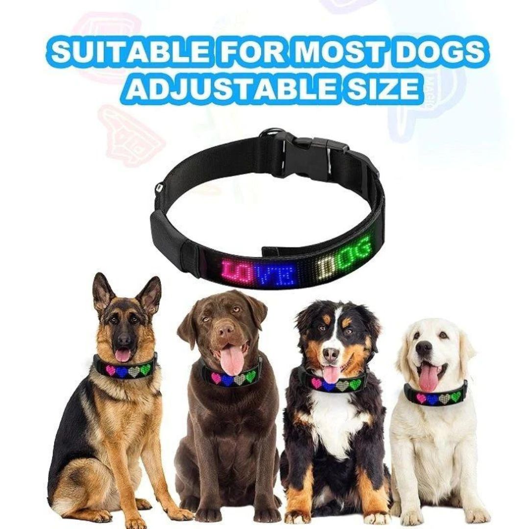 Led Display Dog Collar