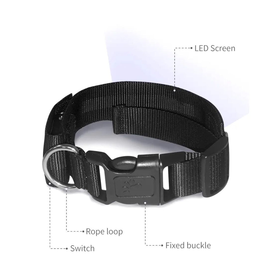 Led Display Dog Collar