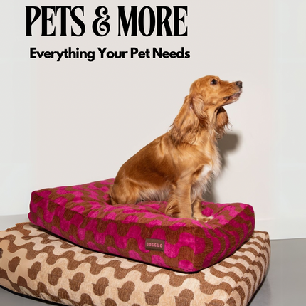 Collection image for: Pets