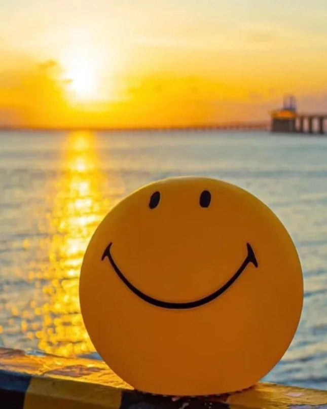 𝗦𝗺𝗶𝗹𝗲𝘆 𝗟𝗮𝗺𝗽