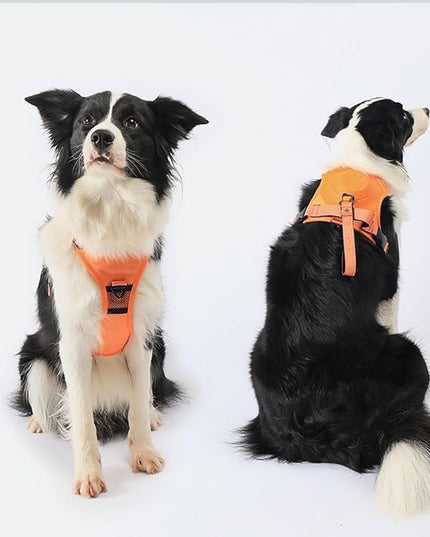 Arnés antitirones para perros con asa: ajustable y cómodo