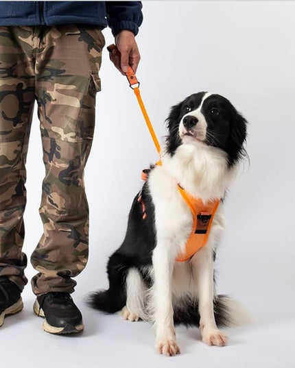 Arnés antitirones para perros con asa: ajustable y cómodo