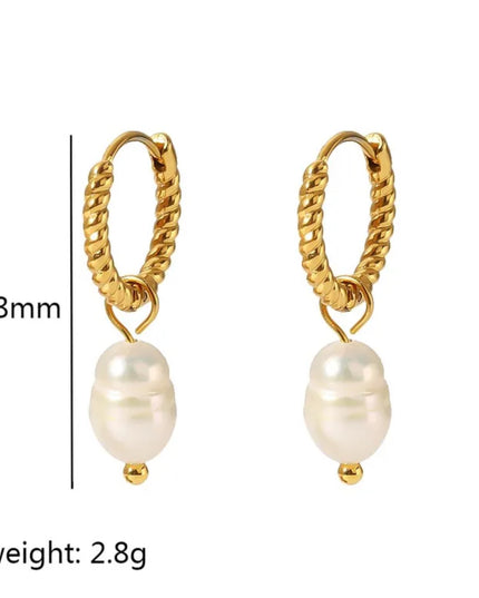 Earrings