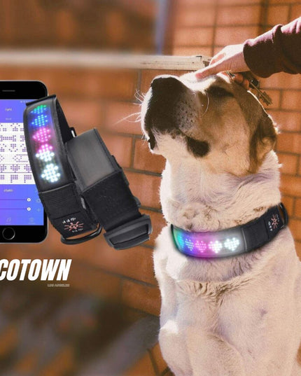 Led Display Dog Collar