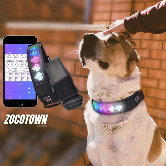 Led Display Dog Collar