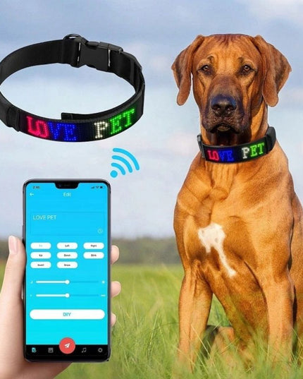 Led Display Dog Collar