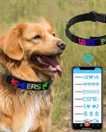 Led Display Dog Collar