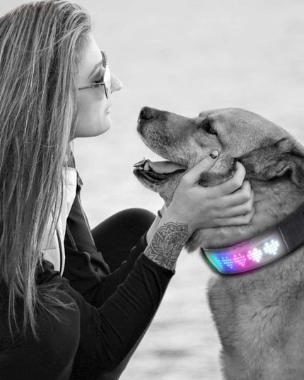 Led Display Dog Collar