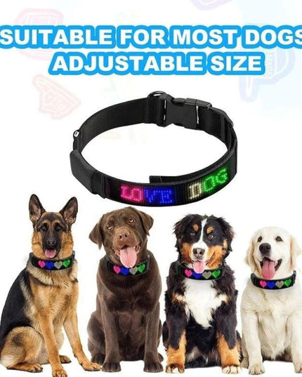 Led Display Dog Collar