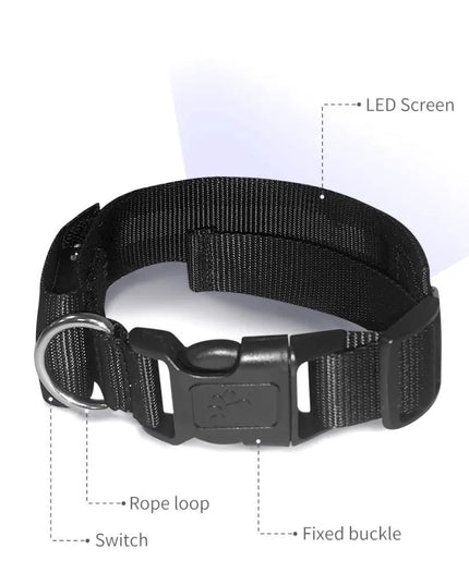 Led Display Dog Collar